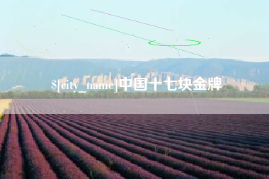 定州中国十七块金牌
