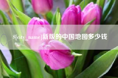 定州新版的中国地图多少钱