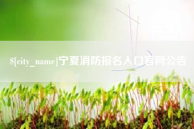 定州宁夏消防报名入口官网公告