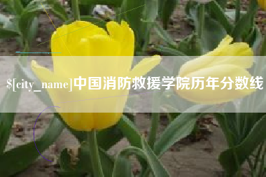 定州中国消防救援学院历年分数线