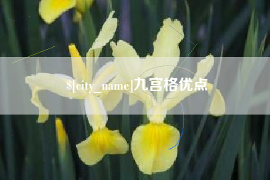 定州九宫格优点
