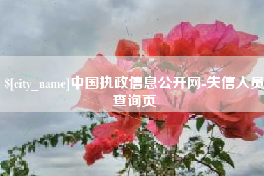 定州中国执政信息公开网-失信人员查询页