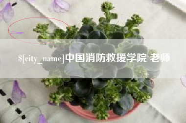 定州中国消防救援学院 老师