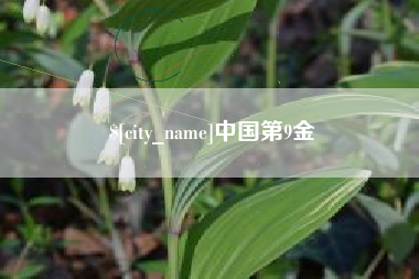 定州中国第9金