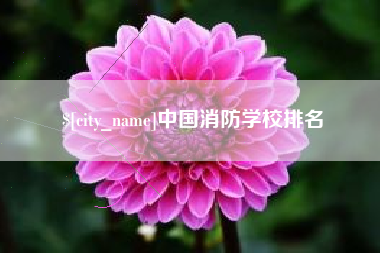 定州中国消防学校排名