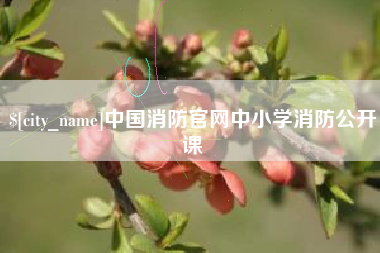 定州中国消防官网中小学消防公开课