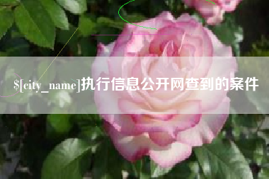 定州执行信息公开网查到的案件