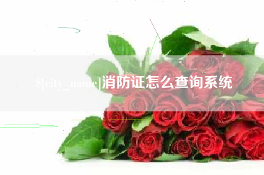 定州消防证怎么查询系统