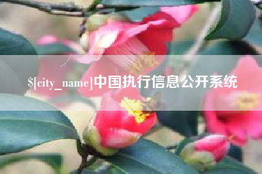 定州中国执行信息公开系统