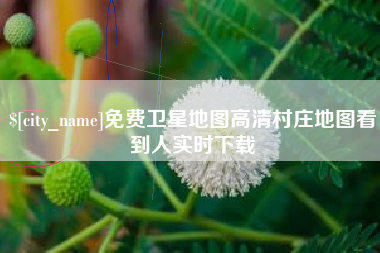 定州免费卫星地图高清村庄地图看到人实时下载