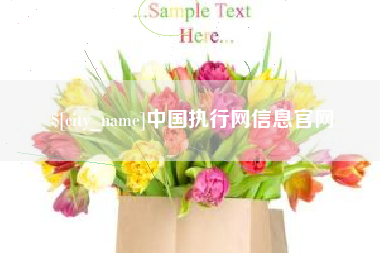 定州中国执行网信息官网