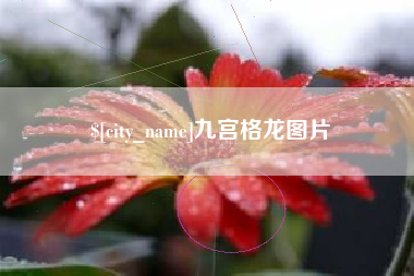 定州九宫格龙图片