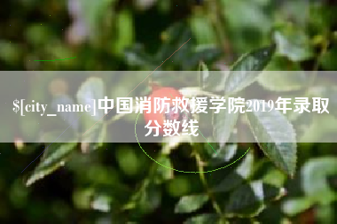 定州中国消防救援学院2019年录取分数线