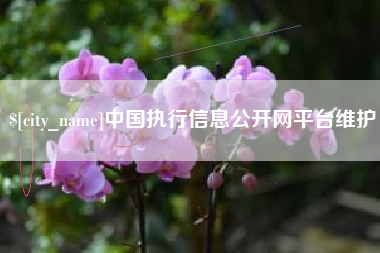 定州中国执行信息公开网平台维护