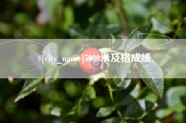 定州5000米及格成绩