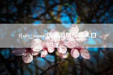 定州国家消防报名入口