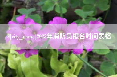 定州2025年消防员报名时间表格