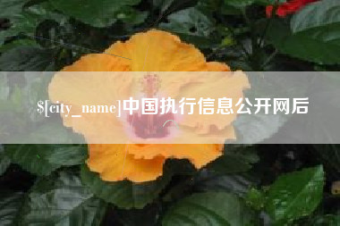 定州中国执行信息公开网后
