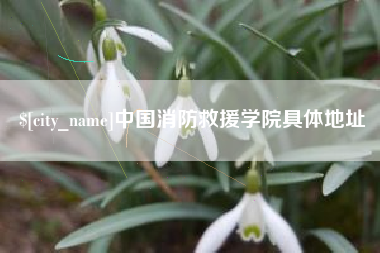 定州中国消防救援学院具体地址