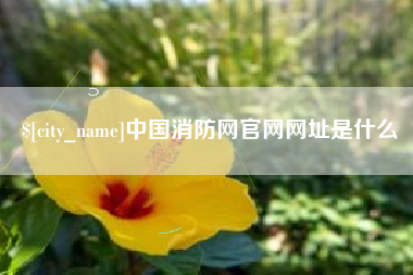 定州中国消防网官网网址是什么