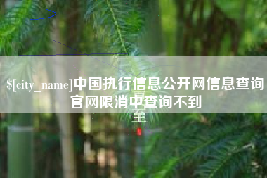定州中国执行信息公开网信息查询官网限消中查询不到