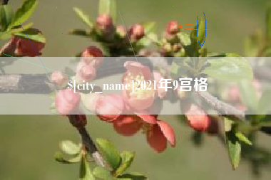 定州2021年9宫格