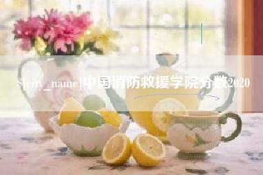 定州中国消防救援学院分数2020