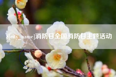 定州消防日全国消防日主题活动