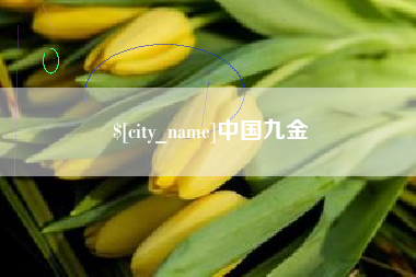 定州中国九金