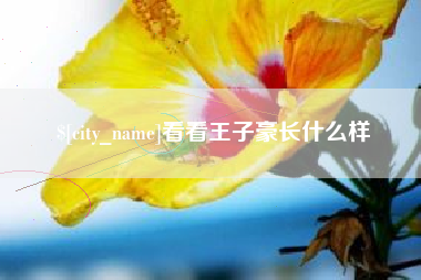 定州看看王子豪长什么样