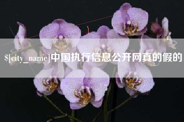 定州中国执行信息公开网真的假的