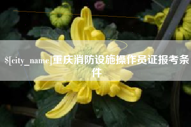 定州重庆消防设施操作员证报考条件