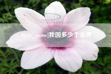 定州我国多少个金牌
