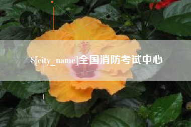 定州全国消防考试中心
