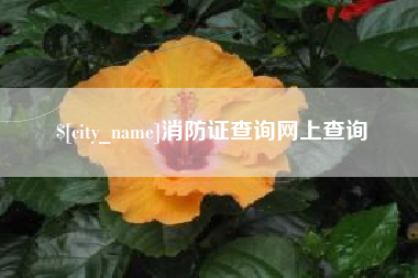 定州消防证查询网上查询