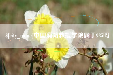 定州中国消防救援学院属于985吗