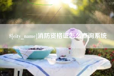 定州消防资格证怎么查询系统