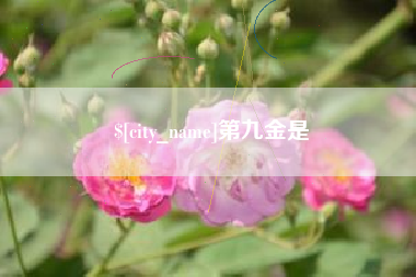 定州第九金是