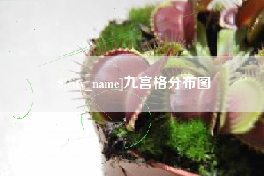 定州九宫格分布图