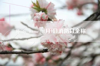定州11月9日消防日全称