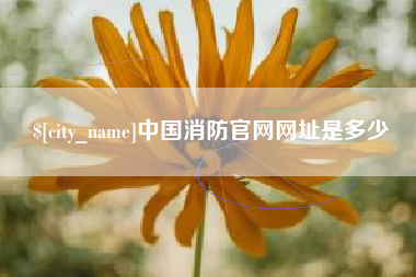 定州中国消防官网网址是多少