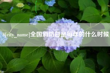 定州全国消防日是每年的什么时候
