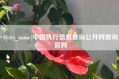 定州中国执行信息查询公开网查询官网
