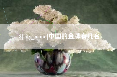 定州中国的金牌有几名
