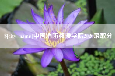 定州中国消防救援学院2020录取分