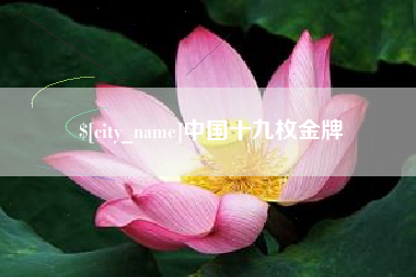 定州中国十九枚金牌