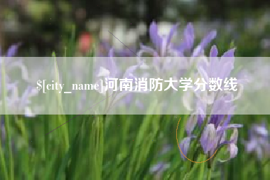 定州河南消防大学分数线