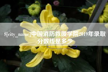 定州中国消防救援学院2019年录取分数线是多少