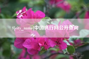 定州中国执行网公开查询