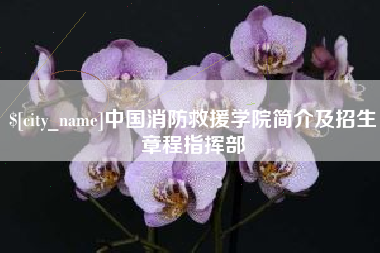 定州中国消防救援学院简介及招生章程指挥部